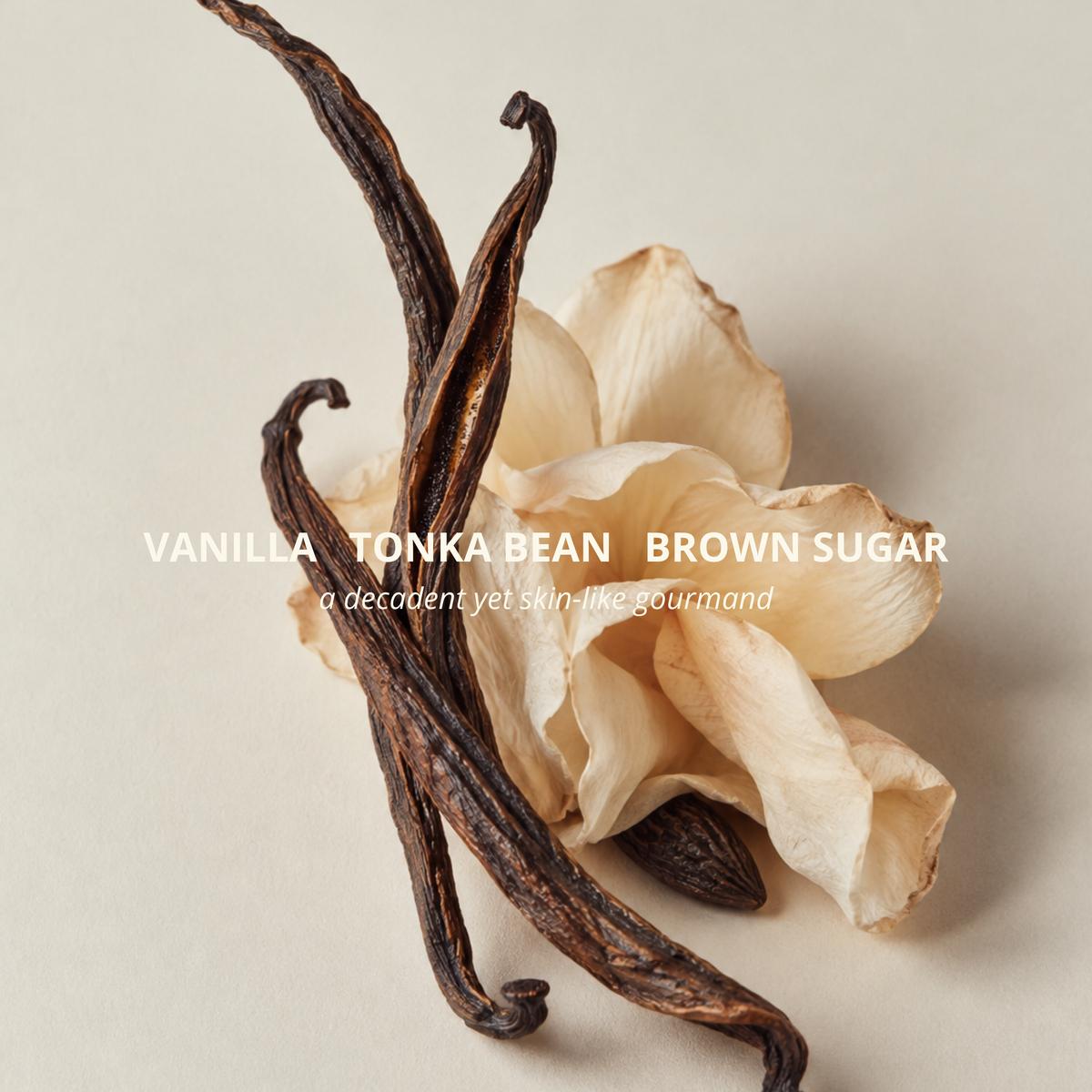BLANC BODY OIL